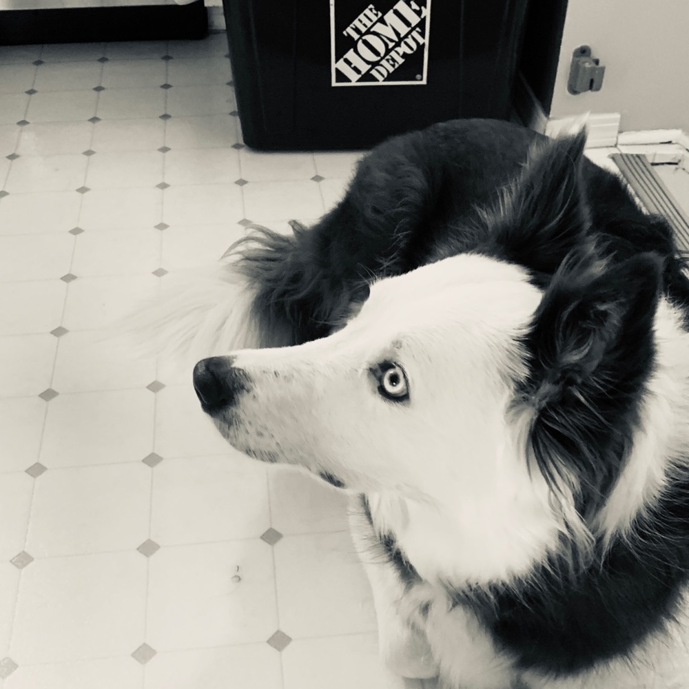 Meet your Posher, Meg